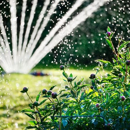 Irrigation Irrigation