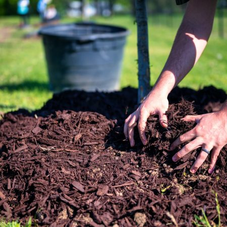 Mulching2 Mulching2