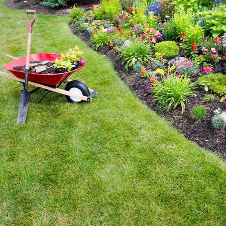 Yard Cleanups Yard Cleanups