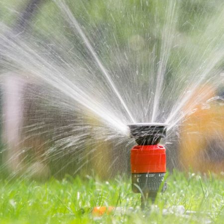 sprinkler sprinkler